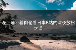 晚上睡不着偷偷看日本B站的深夜放松之道