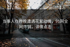 当事人在昨晚遭遇花絮动情，91网全网炸锅，详情点击