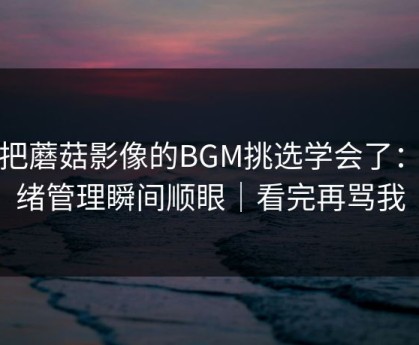 我把蘑菇影像的BGM挑选学会了：情绪管理瞬间顺眼｜看完再骂我