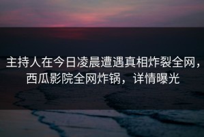 主持人在今日凌晨遭遇真相炸裂全网，西瓜影院全网炸锅，详情曝光