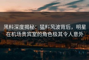 黑料深度揭秘：猛料风波背后，明星在机场贵宾室的角色极其令人意外